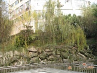典雅森林花园实景图图片