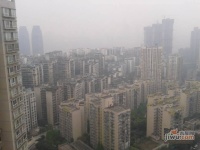 天龙广场实景图图片