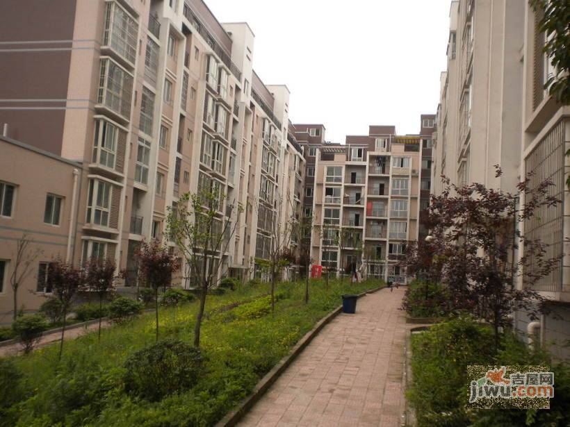 茶花小镇实景图图片