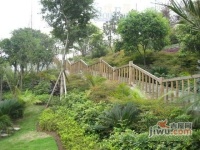 康翔尚岭花园实景图图片