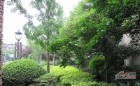 绿地翠谷实景图图片