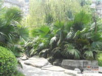 三木花园实景图图片
