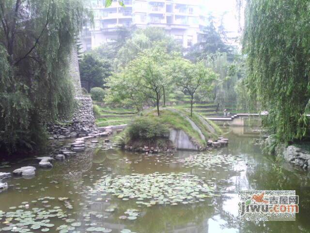 海棠晓月实景图图片