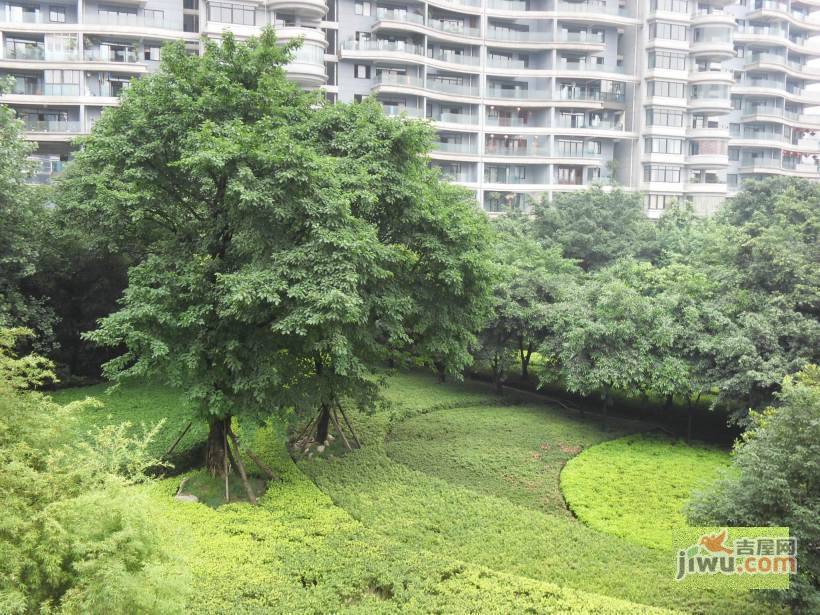 海棠晓月实景图图片