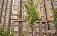 中新城上城国际公寓实景图图片