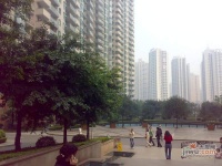 上海城实景图图片