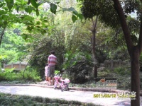 嘉新花园实景图29