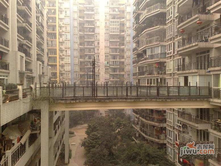 卫星半岛花园实景图图片