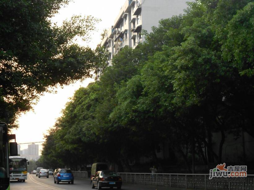 晨曦花园东区实景图图片