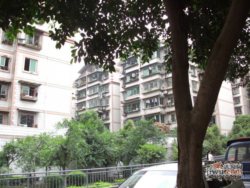 人和康居三期实景图图片