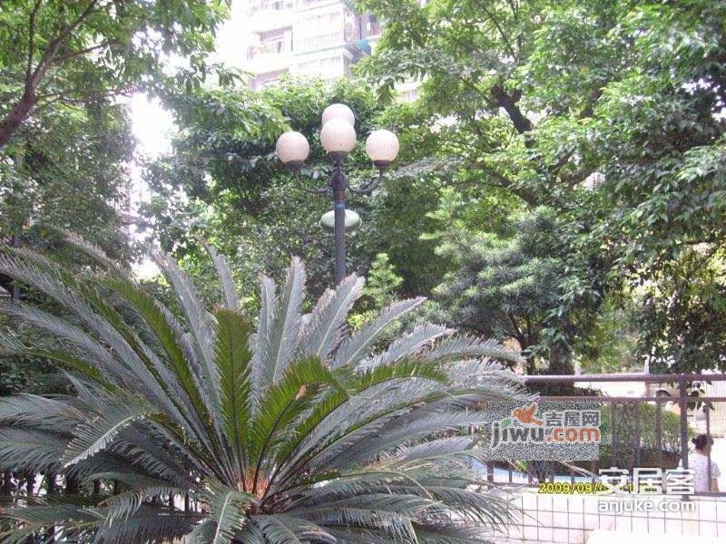 船舶大厦实景图图片