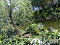 金科天籁城紫园实景图图片