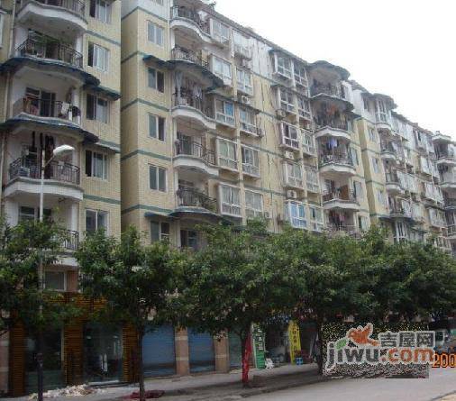 新城芳居实景图图片