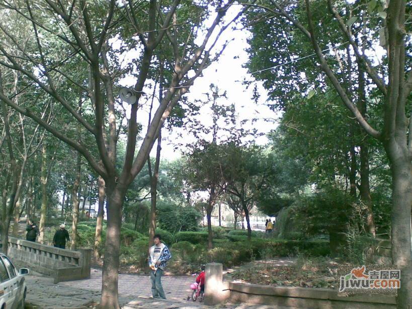 渝中花园实景图图片