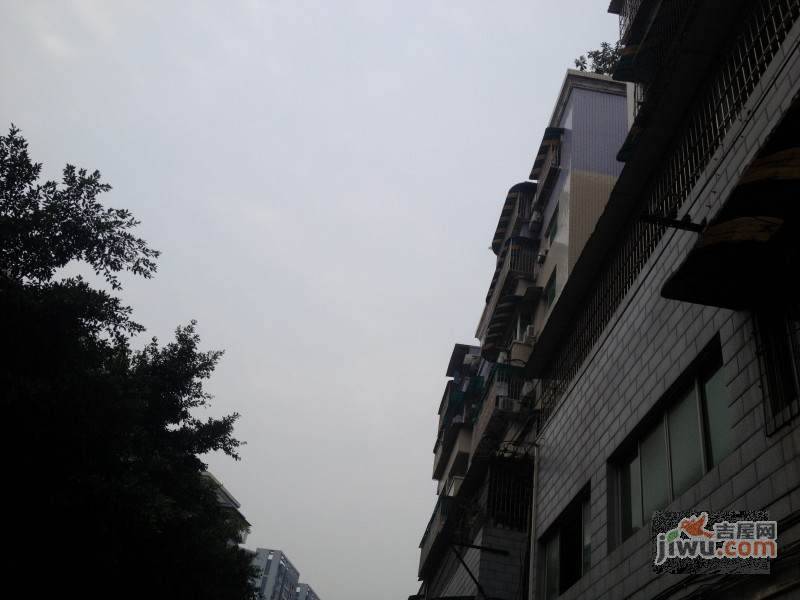 宝桐花园实景图图片
