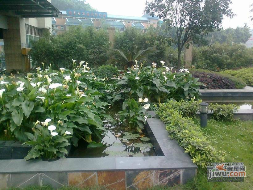 玛雅上层实景图图片