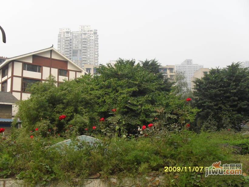 华竹花园实景图图片