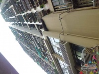 十八梯大厦实景图图片