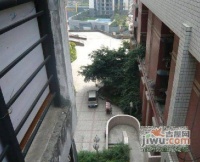 响水苑实景图图片