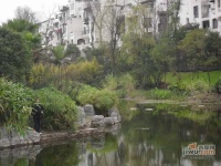 隆鑫花漾湖实景图图片