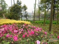 隆鑫花漾湖实景图图片