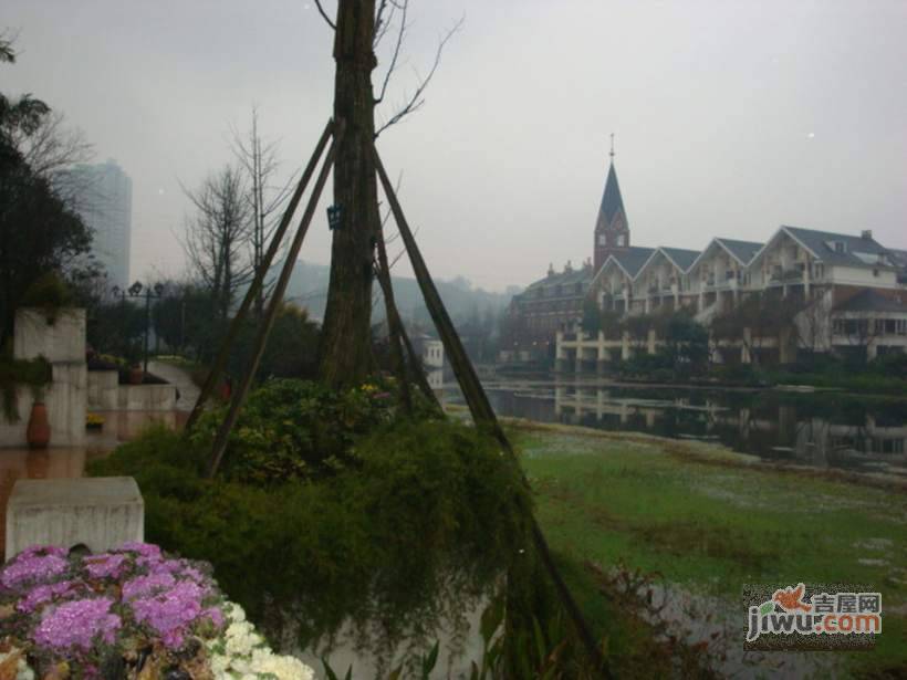 隆鑫花漾湖实景图图片