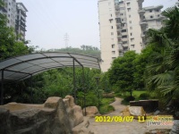 红雨花园实景图图片