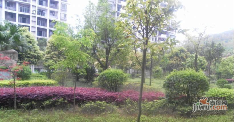 红雨花园实景图图片