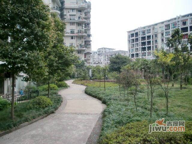 红雨花园实景图图片