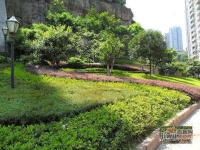 雍江艺庭实景图图片