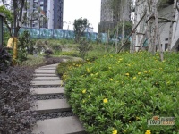 鸿程山水家园实景图图片