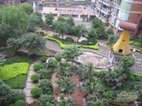 东海金香庭实景图图片
