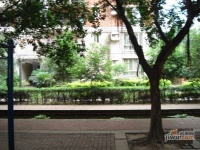 竞地城市花园实景图图片