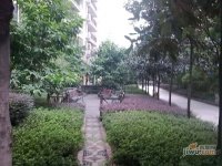 竞地城市花园实景图图片