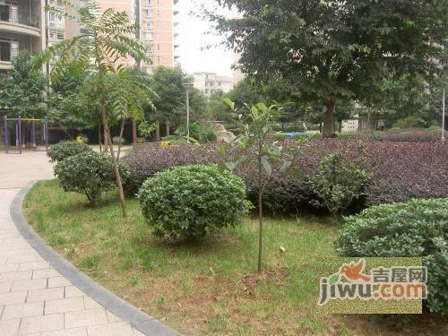 花卉好望阁实景图图片