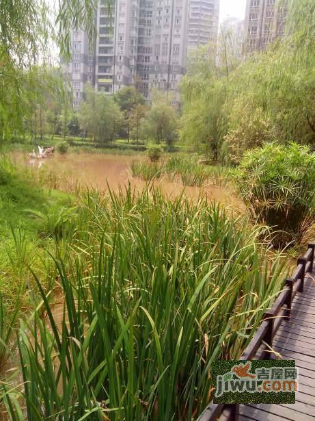 吉安园龙头寺小区实景图图片