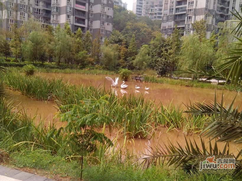 吉安园龙头寺小区实景图27