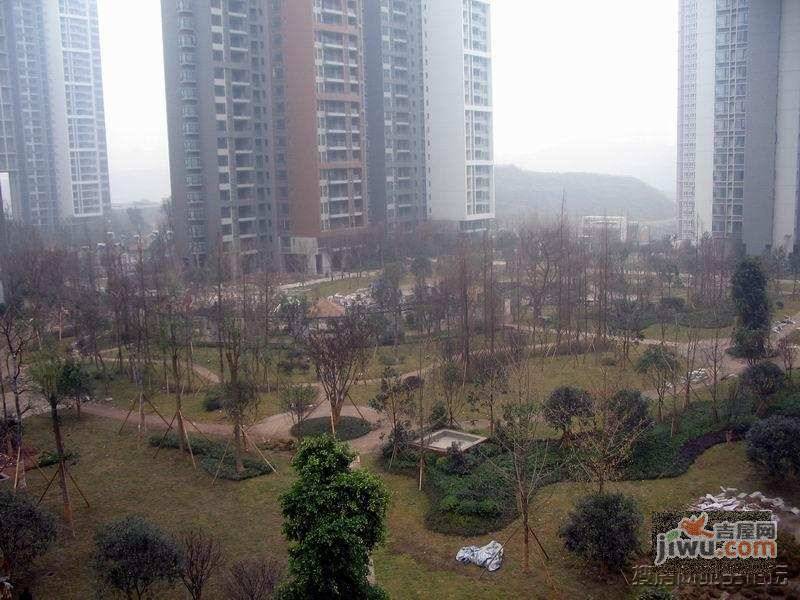 吉安园龙头寺小区实景图图片