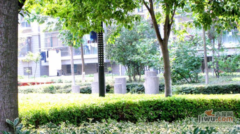双赢新村实景图图片