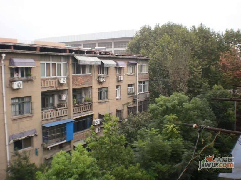 九村西巷实景图图片