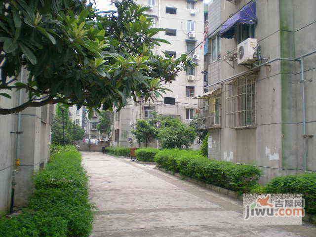 徐家巷小区实景图图片