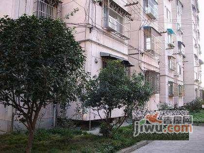 中牌楼实景图图片