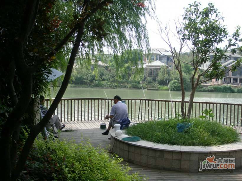 翠屏国际城银杏苑实景图图片