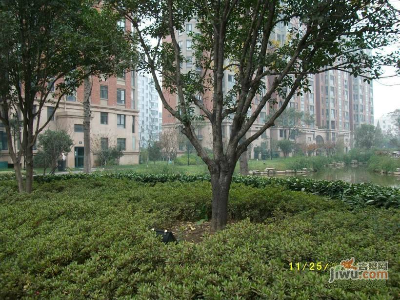 美达上河明苑实景图图片
