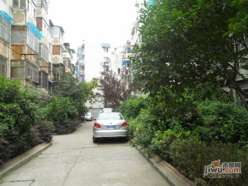 金地苑实景图图片