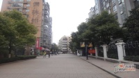 儒林雅居南区实景图图片