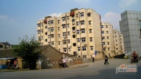 双宁新村实景图图片