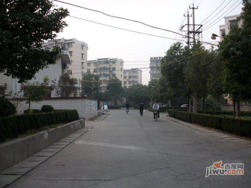 南化九村实景图图片