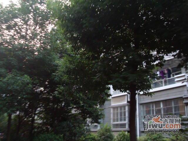 金陵新二村实景图图片