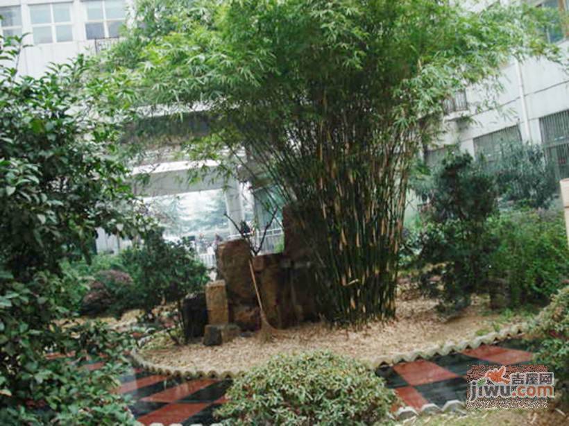 江东北路小区实景图图片